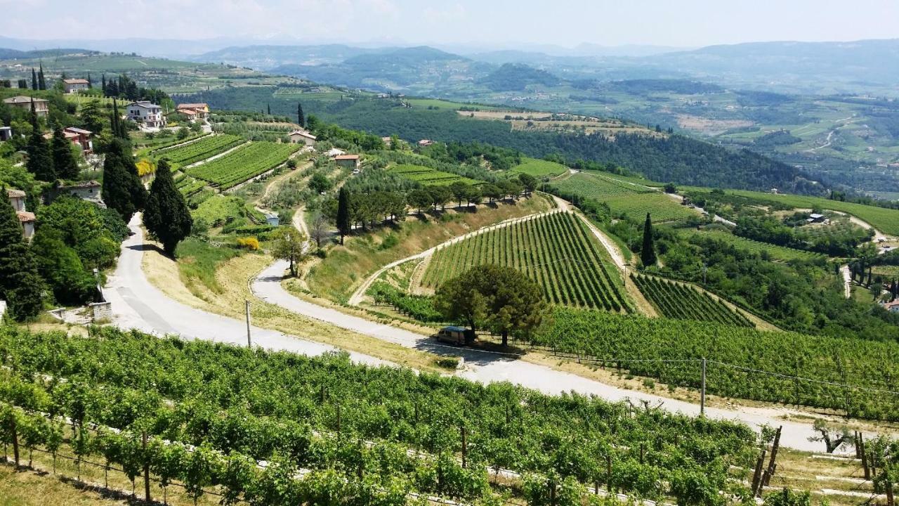 Cris Apartments SantʼAmbrogio di Valpolicella Buitenkant foto